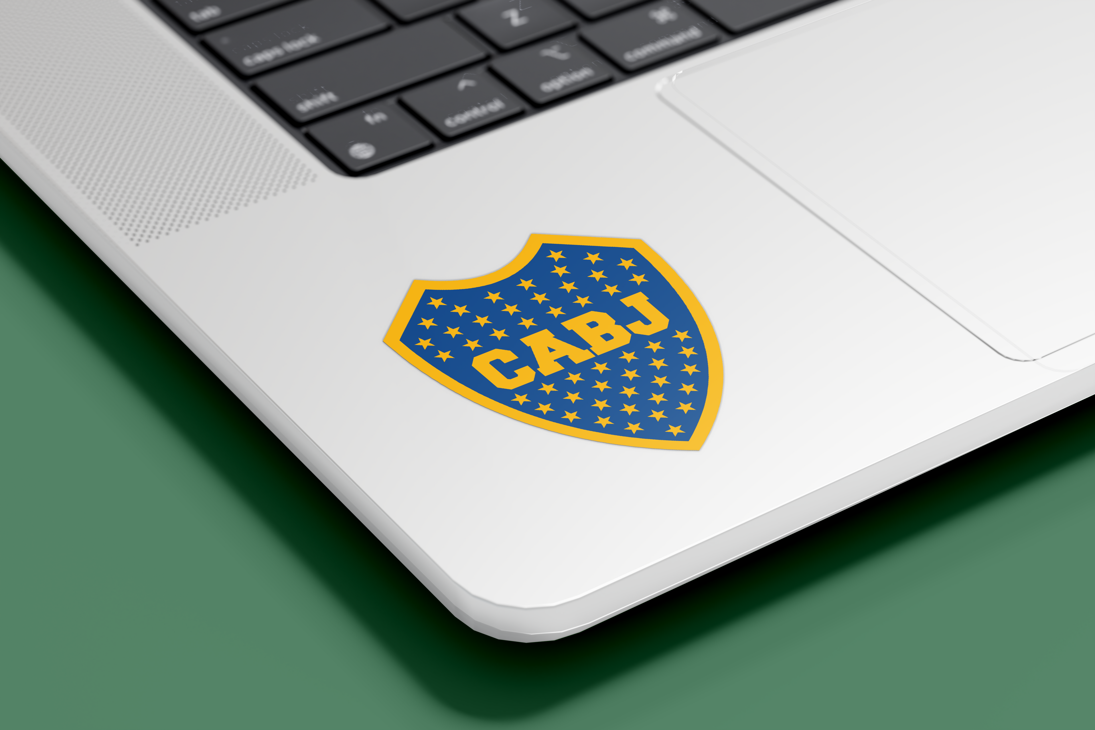 Escudo Tradicional