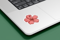 Flor Hawaii