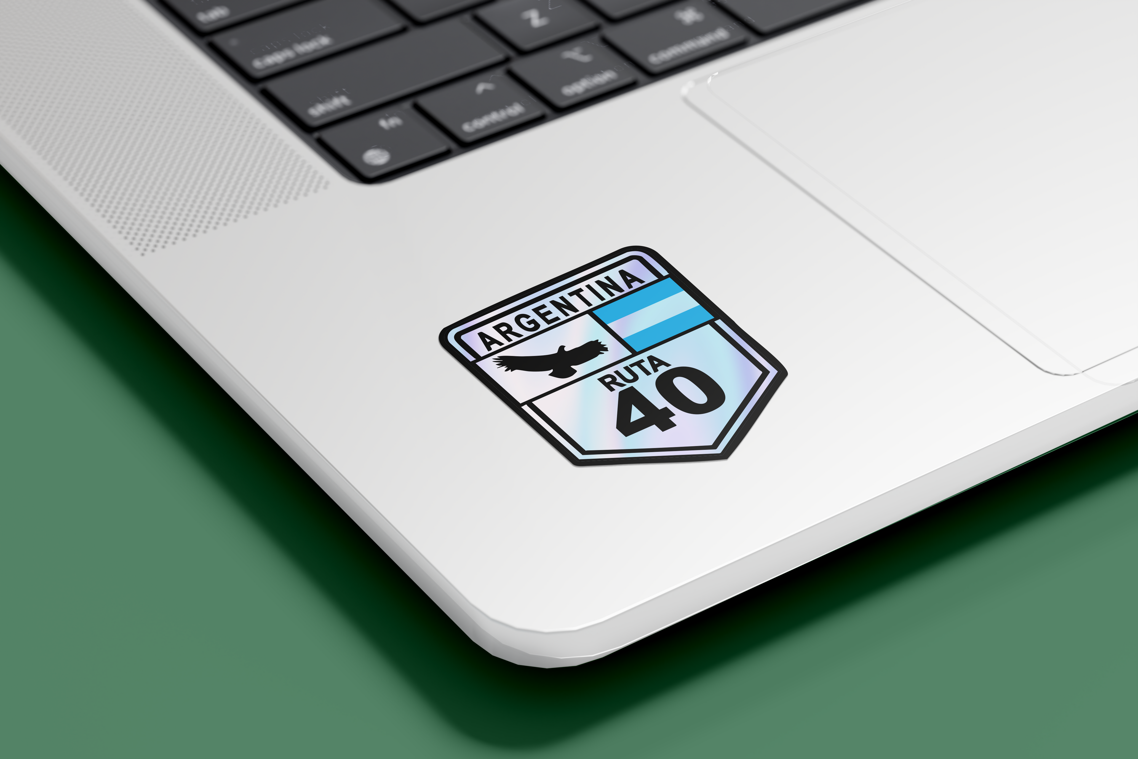 Ruta 40