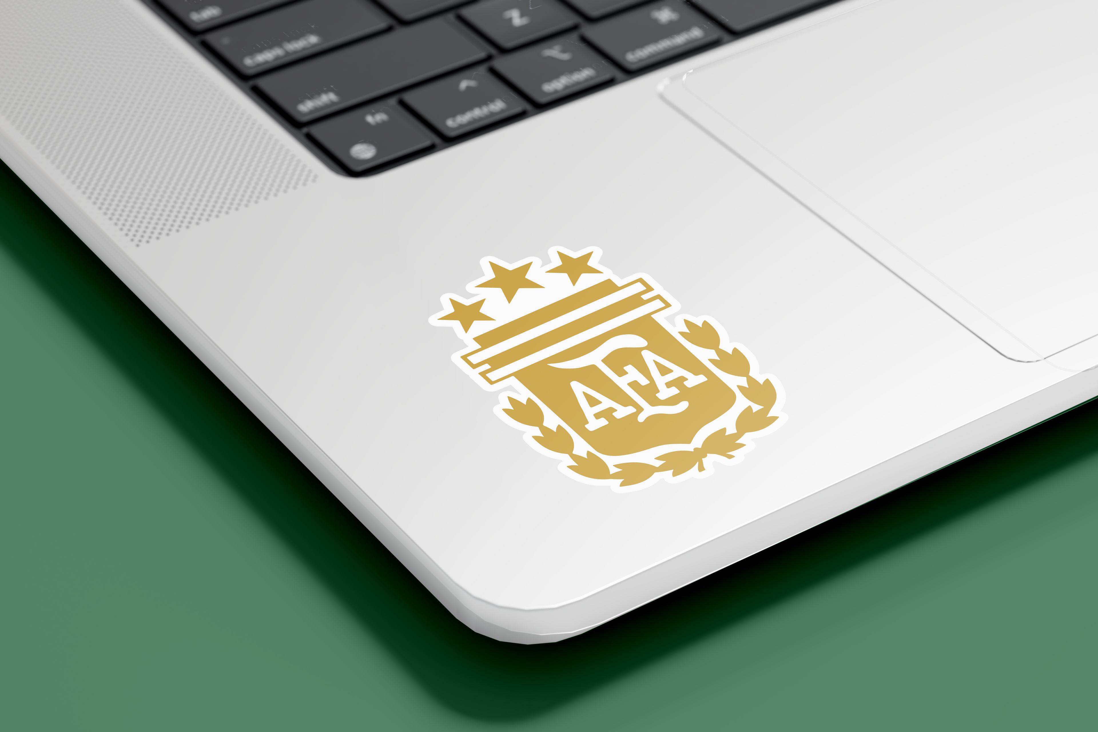 Escudo AFA  Titular