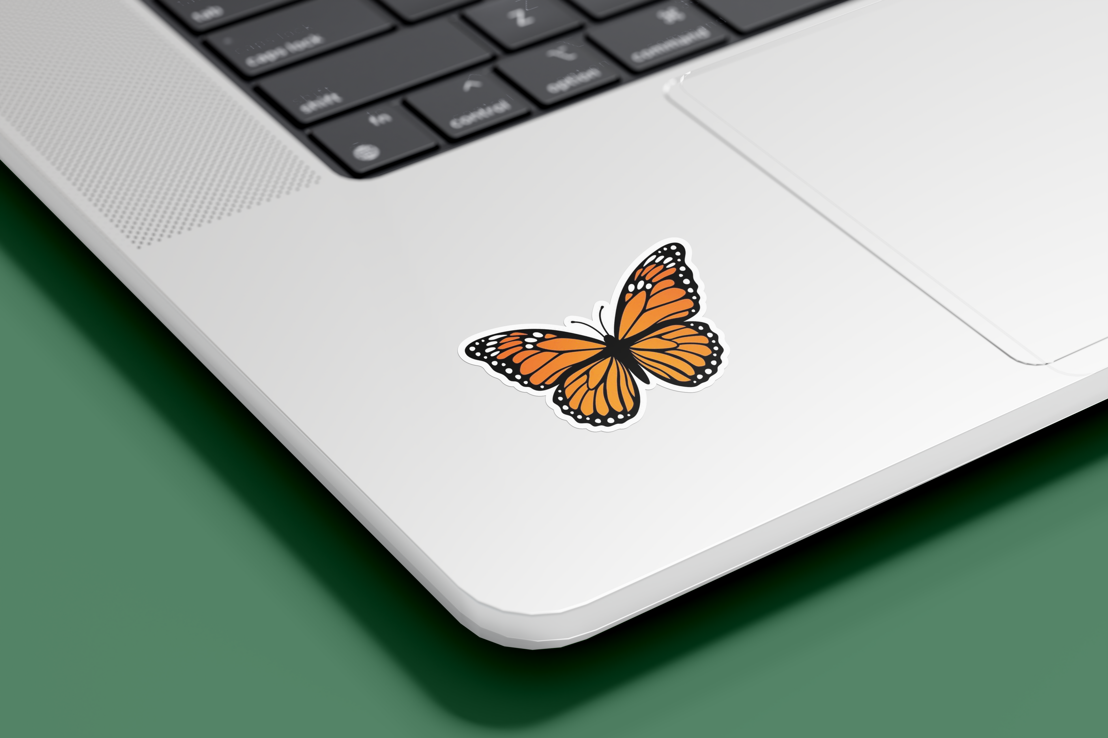 Mariposa